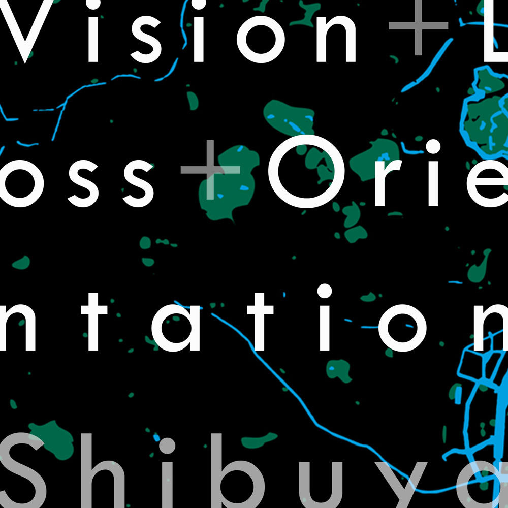 Vision + Loss + Orientation